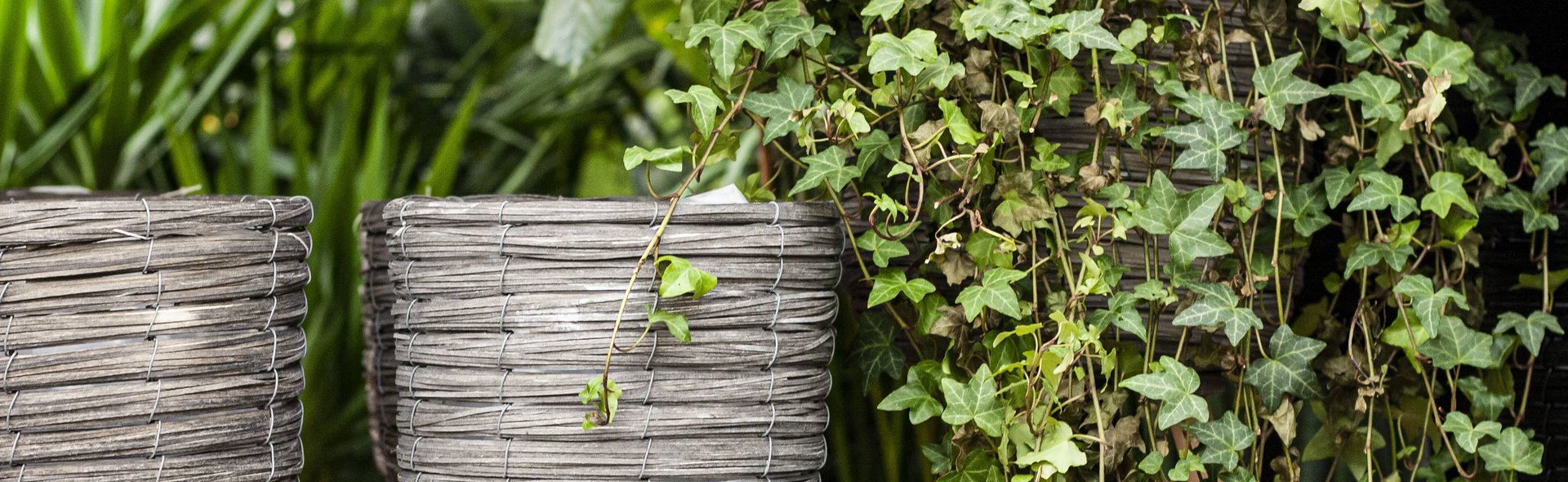 Welkom bij Life & Garden