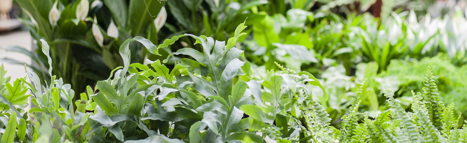 Welkom bij Life & Garden